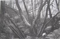 John Howard Print Studios - Workshop 4&5 Jubilee Wharf